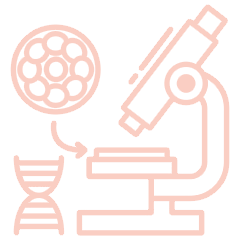 Diagnostico Genético Preimplantacional